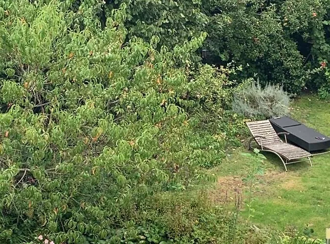 Dachwohnung Naehe Clemenshospital